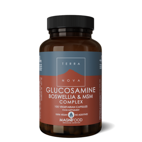 Terranova GLUCOSAMINE, BOSWELLIA & MSM COMPLEX 100 Caps
